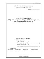 skkn biện pháp nâng cao chất lượng sinh hoạt chuyên môn giáo dục tiểu học các cấp ở cơ sở 