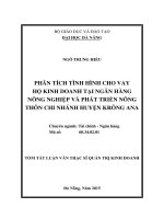 Phân tích tình hình cho vay hộ kinh doanh tại ngân hàng NNPTNT, chi nhánh huyện kroong ana 