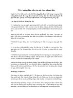 Vị trí phòng làm việc của sếp theo phong thủy