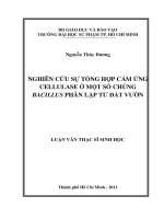 nghiên cứu sự tổng hợp cảm ứng cellulase ở một số chủng bacillus phân lập từ đất vườn 