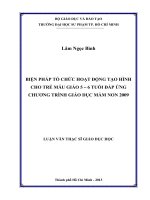 biện pháp tổ chức hoạt động tạo hình cho trẻ mẫu giáo 5 – 6 tuổi đáp ứng chương trình giáo dục mầm non 2009 