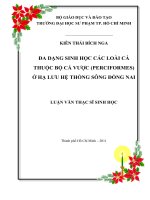 đa dạng sinh học các loài cá thuộc bộ cá vược (perciformes) ở hạ lưu hệ thống sông đồng nai 