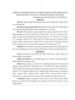 NGHIÊN CỨU ĐẶC ĐIỂM LÂM SÀNG VÀ VI KHUẨN ÁI KHÍ CỦA VIÊM AMIĐAN CẤP TẠI BỆNH VIỆN TRUNG ƢƠNG HUẾ VÀ BỆNH VIỆN ĐẠI HỌC Y DƯỢC HUẾ