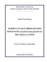 nghiên cứu quá trình lên men fed batch corynebacterium glutamicum thu nhận l lysine 