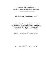 nhu cầu thành đạt trong nghề nghiệp của giảng viên trẻ ở một số trường đại học tại tp hcm 