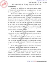 TÌNH  HÌNH  KINH  Tế  -  XÃ  HộI  Nươc mỹ   KHI GIÀNH độC LậP