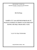 nghiên cứu tạo chế phẩm protease từ bacillus subtilis có trong natto nhật bản hướng tới thực phẩm chức năng 