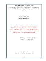 khảo sát thành phần hoá học của lá xa kê artocarpus altilis (park ) fosberg thuộc họ dâu tằm moraceae 