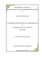 các nhóm con nguyên thủy của nhóm đối xứng s5 