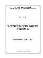 Tổ chức lãnh thổ các khu công nghiệp ở tỉnh đồng nai 