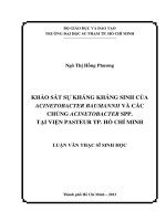khảo sát sự kháng kháng sinh của acinetobacter baumannii và các chủng acinetobacter spp  tại viện pasteur tp  hồ chí minh 