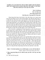 Tiết kiệm năng lượng cho Máy nén khí và Tời trục trong Mỏ hầm lò