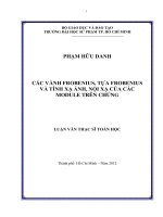 các vành frobenius, tựa frobenius và tính xạ ảnh, nội xạ của các module trên chúng 