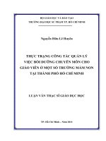 thực trạng công tác quản lý việc bồi dưỡng chuyên môn cho giáo viên ở một số trường mầm non tại thành phố hồ chí minh 