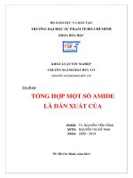 tổng hợp một số amide là dẫn xuất của 