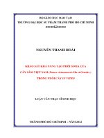khảo sát khả năng tạo phôi soma của cây sâm việt nam (panax vietnamensis ha et grushv ) trong nuôi cấy in vitro 