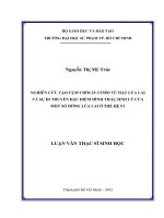 nghiên cứu tạo cụm chồi in vitro từ hạt lúa lai và sự di truyền đặc điểm hình thái, sinh lý của một số dòng lúa lai ở thế hệ f1