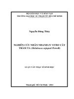nghiên cứu nhân nhanh in vitro cây tràm ta (melaleuca cajuputi powell) 