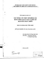 Xây dựng cấu trúc mô hình cân bằng tổng quát CGE và một số kịch bản phát triển 
