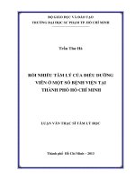 rối nhiễu tâm lý của điều dưỡng viên ở một số bệnh viện tại thành phố hồ chí minh 