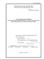 SKKN ỨNG DỤNG CÔNG NGHỆ THÔNG TIN vào các bài GIẢNG hóa học NHẰM NÂNG CAO CHẤT LƯỢNG dạy học 