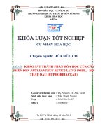 khảo sát thành phần hóa học của cây phèn đen phyllanthus reticulatus poir ,   họ thầu dầu (euphorbiaceae) 