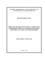Phân lập, đánh giá đa dạng và khả năng sinh kháng sinh của xạ khuẩn nội cộng sinh trên cây quế tại tỉnh hòa bình