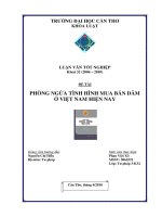 phòng ngừa tình hình mua bán dâm ở việt nam hiện nay