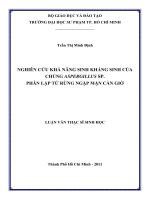 nghiên cứu khả năng sinh kháng sinh của chủng aspergillus sp  phân lập từ rừng ngập mặn cần giờ 