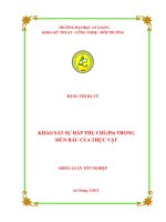 Khảo sát sự hấp thụ chì (pb) trong mùn rác của thực vật 