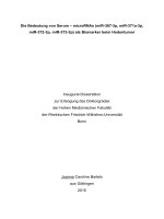 Die bedeutung von serum – microRNAs (mir 367 3p, mir 371a 3p, mir 372 3p, mir 373 3p) als biomarker beim hodentumor