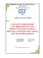 cô lập và nhận danh các hợp chất từ cao ethyl acetate của địa y roccella sinensis (nyl ) hale thu hái ở bình thuận 