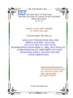 khảo sát thành phần hóa học trên cao ethyl acetate của cây mộc ký ngũ hùng dendrophtoe pentandra (l ) miq , họ chùm gửi (loranthceae) ký sinh trên cây xoài mangifera indica, họ đào lộn hột (anacardiaceae) 