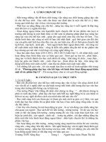 SKKN phương pháp dạy học văn kết hợp với hình thức hoạt động ngoại khóa một số tác phẩm lớp 11 