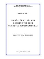 nghiên cứu sự phát sinh đột biến ở thế hệ m2 của một số dòng lúa chịu hạn 