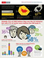 The value of customer experience in the digital age   APAC version 