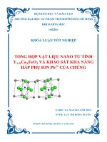 tổng hợp vật liệu nano từ tính y1 xcaxfeo3 và khảo sát khả năng hấp phụ ion pb2+ của chúng 