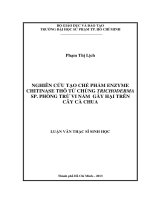 nghiên cứu tạo chế phẩm enzyme chitinase thô từ chủng trichoderma sp  phòng trừ vi nấm gây hại trên cây cà chua 