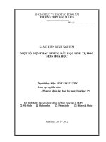 skkn một số BIỆN PHÁP HƯỚNG dẫn học SINH tự học môn hóa học 