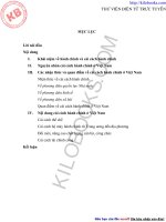 Xây dựng nền hành chính nhà nước dân chủ , trong sạch vững mạnh