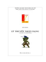 Bài giảng lý thuyết nhận dạng