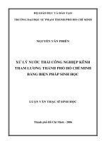 xử lý nước thải công nghiệp kênh tham lương thành phố hồ chí minh bằng biện pháp sinh học 