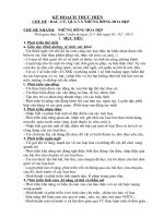 giáo án nhà trẻ bông hoa đẹp 