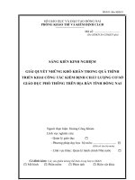 SKKN GIẢI QUYẾT NHỮNG KHÓ KHĂN TRONG QUÁ TRÌNH TRIỂN KHAI CÔNG tác KIỂM ĐỊNH CHẤT LƯỢNG cơ sở GIÁO dục PHỔ THÔNG TRÊN địa bàn TỈNH ĐỒNG NAI 