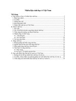 Nhiên liệu sinh học ở việt nam 