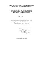 Thực hiện mục tiêu giáo dục thẩm mỹ trong nhà trường phổ thông (khảo sát chủ yếu ở bậc tiểu học tại địa bàn TP  hồ chí minh và 4 tỉnh, thành đồng nai, bình dương, lâm đồng, đà nẵng) 