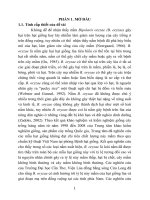 Nghiên cứu nấm Bipolaris oryzae hại hạt giống lúa thu thập tại một số tỉnh phía Bắc và ven biển miền Trung Việt Nam