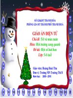 giáo án mầm non chủ đề tết và mùa xuân 