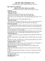 giáo án mầm non  CHỦ đề THẾ GIỚI ĐỘNG vật bản 1 