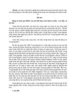 Lựa chọn một doanh nghiệp đã và đang tham gia kinh doanh quốc tế  chỉ ra những động cơ thúc đẩy doanh nghiệp đó tham gia vào hoạt động kinh doanh quốc tế